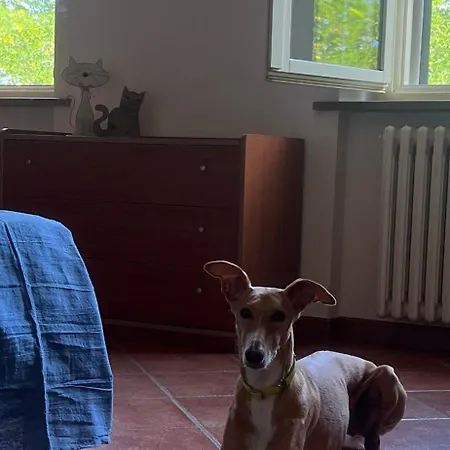 A Casa Di Leyla * Monteluro